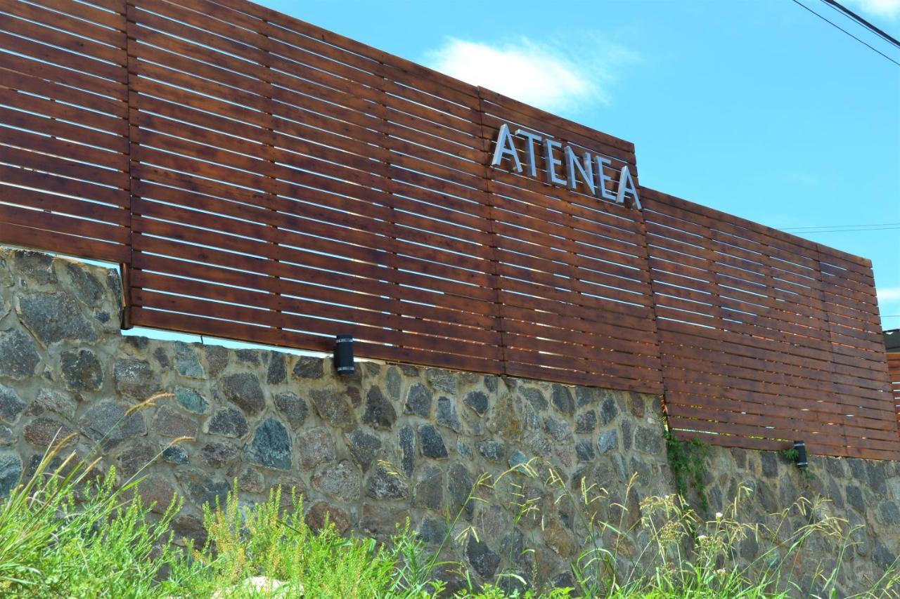 Atenea ヴィラ・カルロス・パス エクステリア 写真